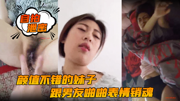 81国产精品久久久久久久久久_高清完整版抢先看